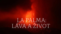 La Palma: Láva a život