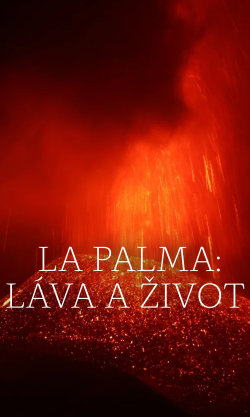 La Palma: Láva a život