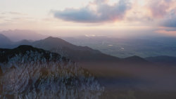 Divoké předhůří Alp