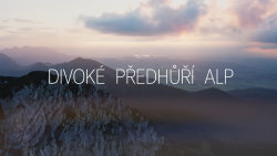 Divoké předhůří Alp