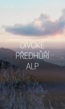 Divoké předhůří Alp