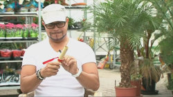VIP PROSTŘENO! 2 II (1)