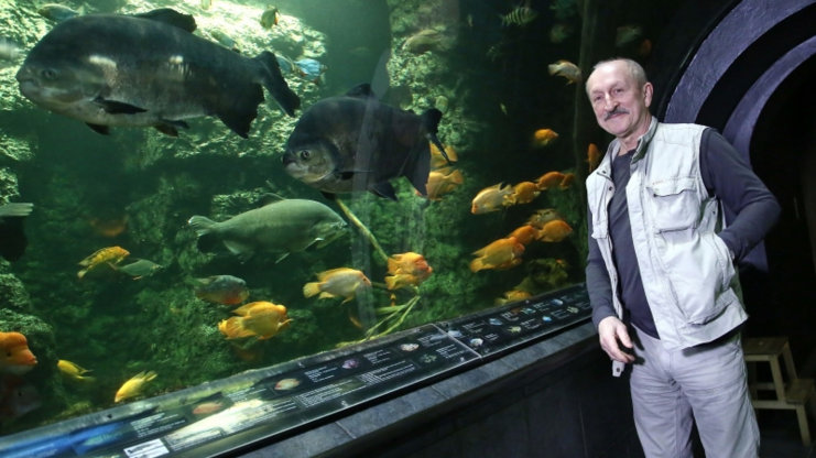 Náhled videa