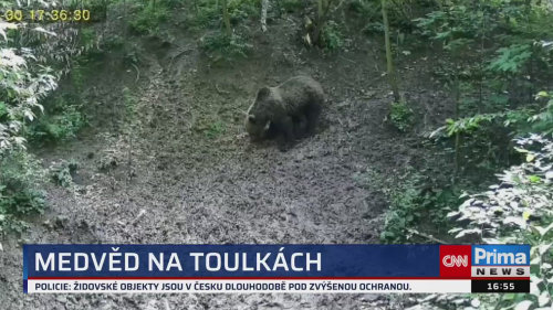ZPRÁVY Z REGIONŮ - 13.6. v 16:55