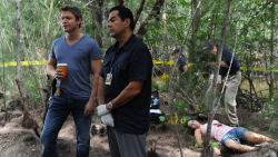 Slunečno, místy vraždy