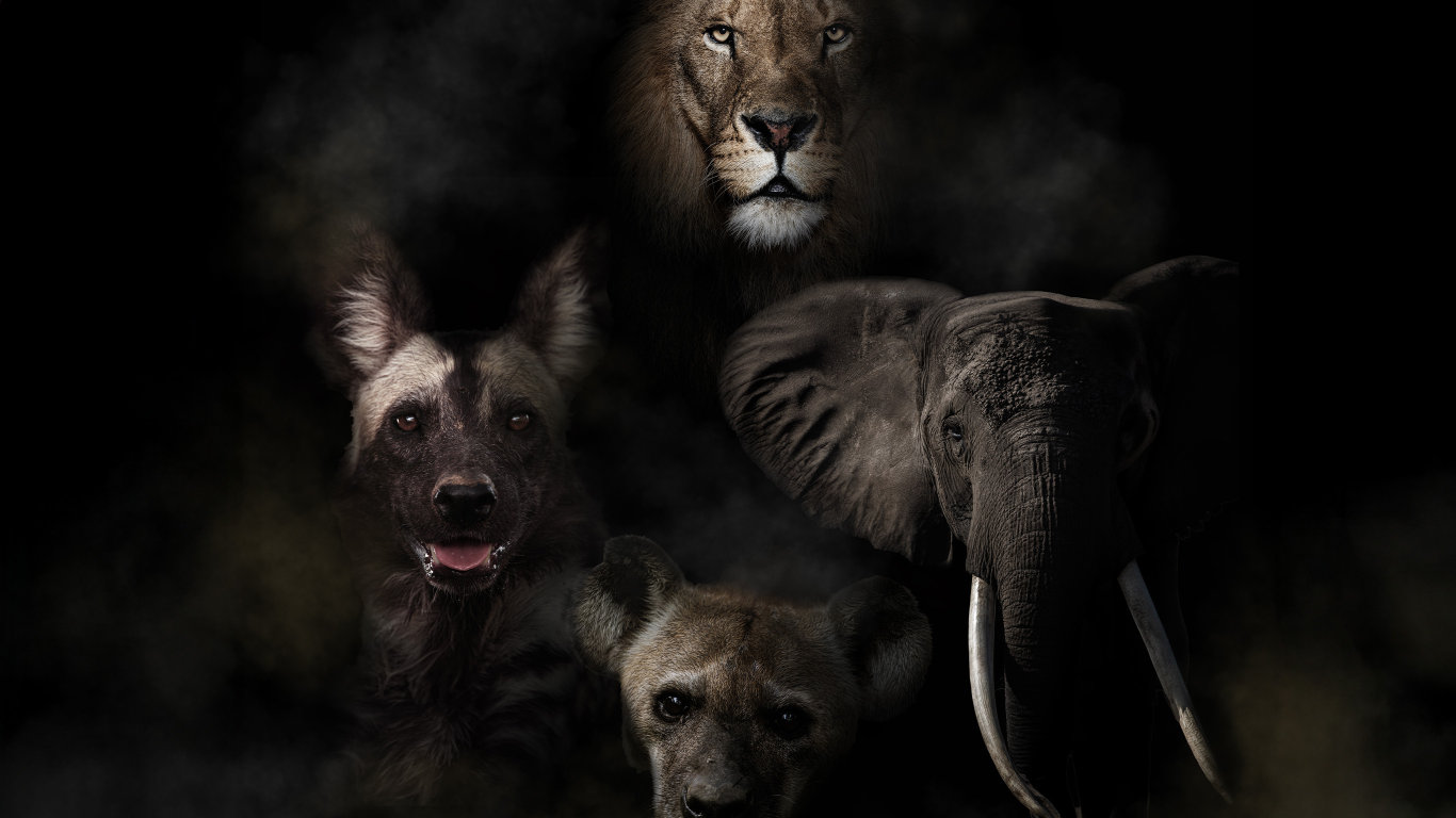 Savé Valley: Zázrak divočiny