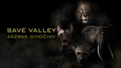 Savé Valley: Zázrak divočiny