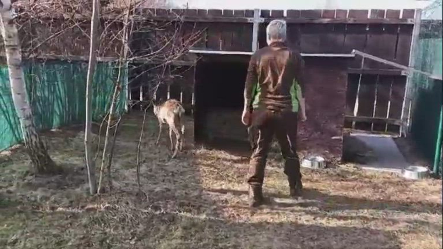 Náhled videa