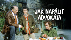 Jak napálit advokáta