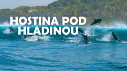 Hostina pod hladinou