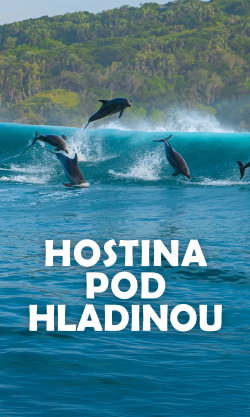 Hostina pod hladinou