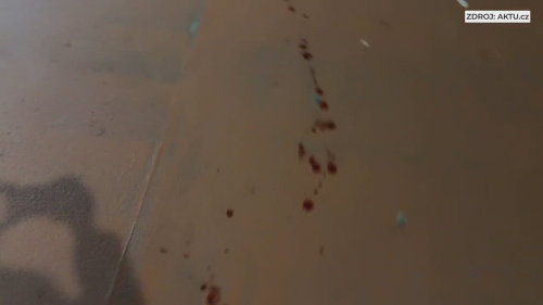 Krvavý incident u stanice metra Pražského povstání