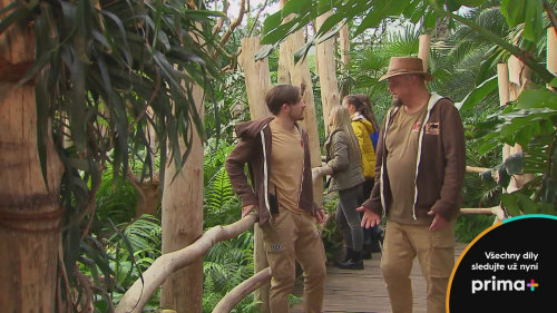 ZOO EXPRES (5)