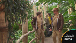 ZOO EXPRES (5)