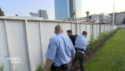 Policie v akci