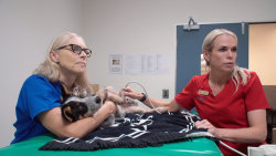Veterinář z Bondi Beach S11 (9)