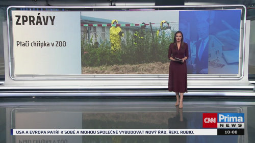 ZPRÁVY, 15.2. v 10:00
