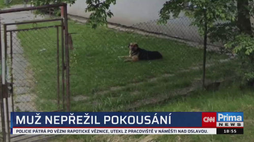 HLAVNÍ ZPRÁVY - 1.8. v 18:55
