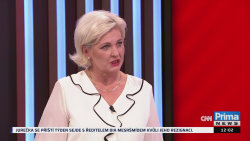 PARTIE TEREZIE TOMÁNKOVÉ, Alena Schillerová, Tomio Okamura, Marek Benda, Věra Kovářová, Miroslav Korecký, Jan Kubáček - 5.10. v 11:55