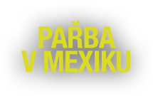 Pařba v Mexiku