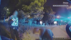 Vandal v pražské Krči zdemoloval šest zaparkovaných aut