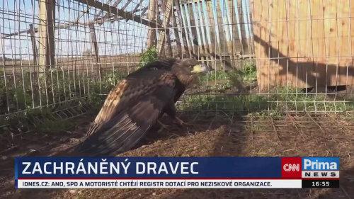 ZPRÁVY Z REGIONŮ - 31.10. v 16:55