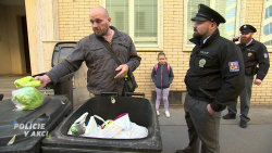 Policie v akci