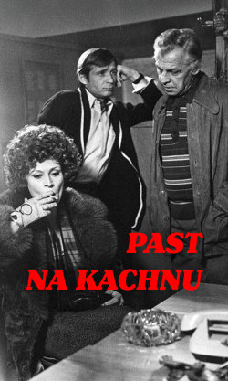 Past na kachnu