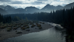 Nová putování s dinosaury