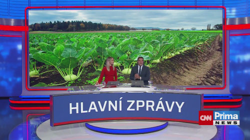 Slimáci vylézají