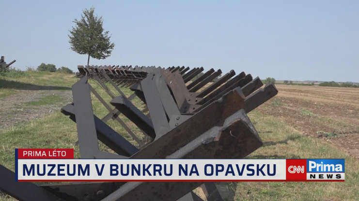 Náhled videa