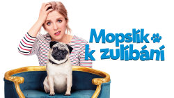 Mopsík k zulíbání