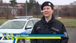 Policie v akci