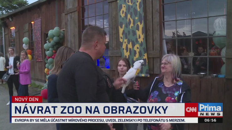 Náhled videa