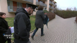 Policie v akci