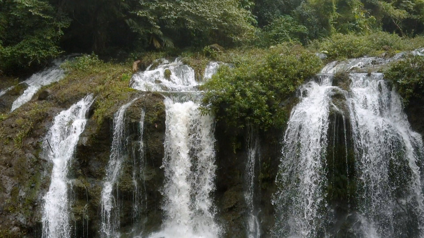 Brazílie: Záchrana Atlantického lesa