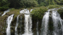 Brazílie: Záchrana Atlantického lesa