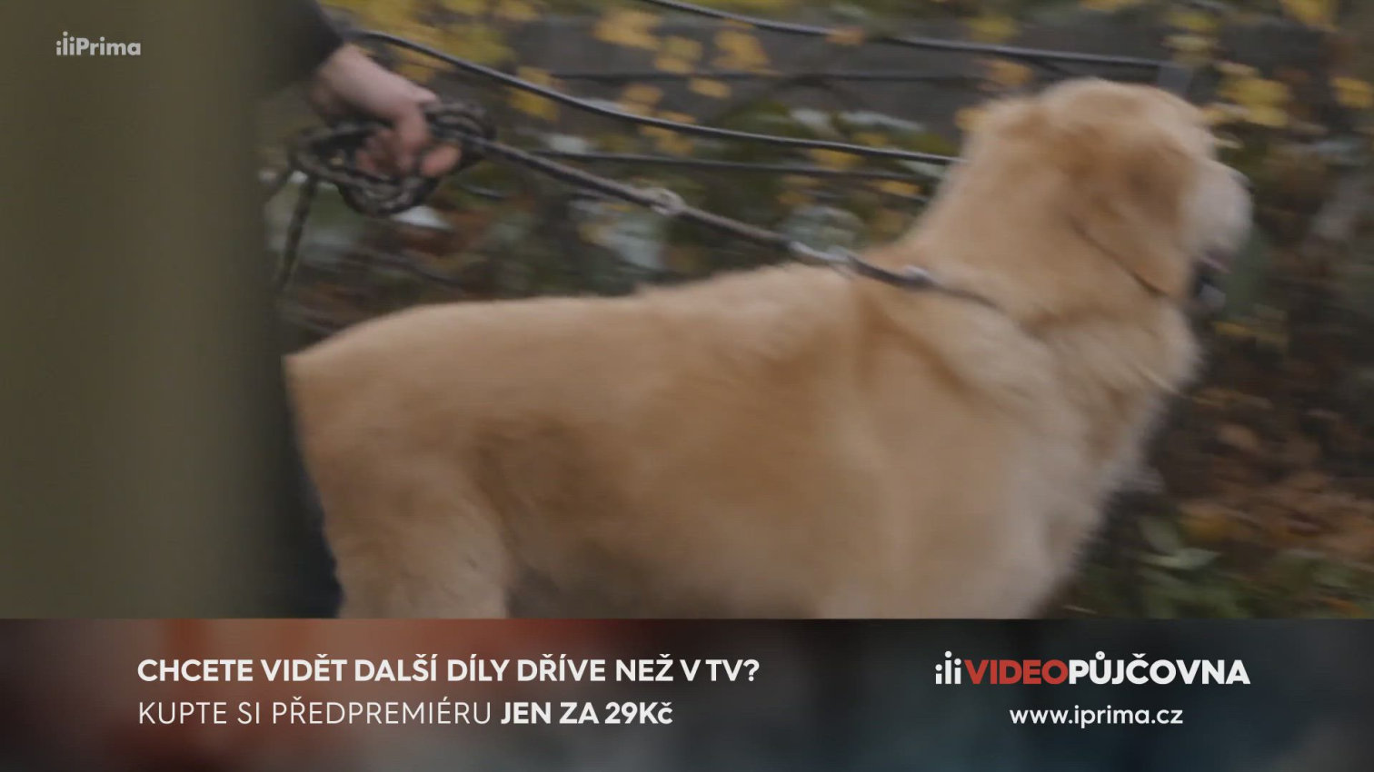 Náhled videa