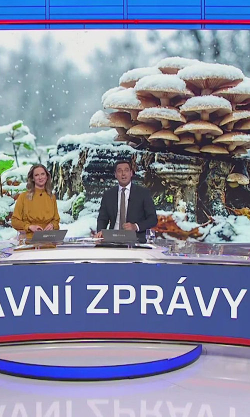 V lese najdete jedlé houby i během mrazů