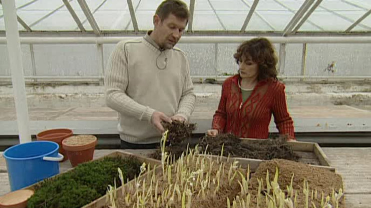 Receptář prima nápadů 2005 (46)