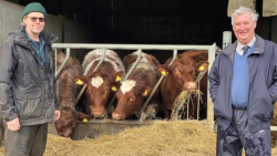 Veterinář z Yorkshiru S12 (7)