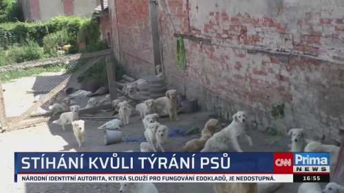 ZPRÁVY Z REGIONŮ - 29.10. v 16:55