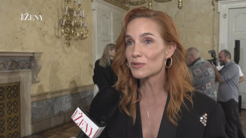 Hana Vagnerová o sociálních sítích