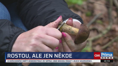 ZPRÁVY Z REGIONŮ - 6.8. v 16:55