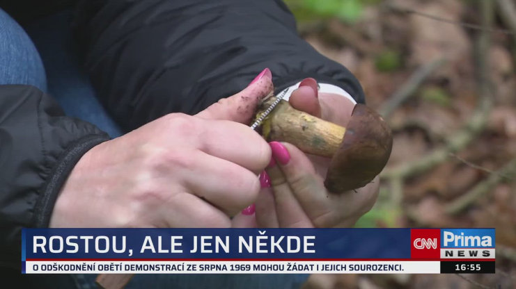 Náhled videa