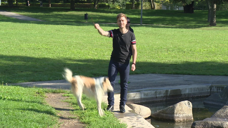 Náhled videa