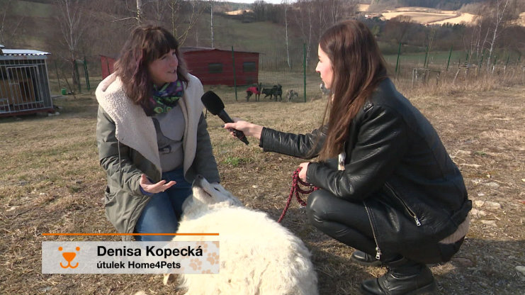 Náhled videa