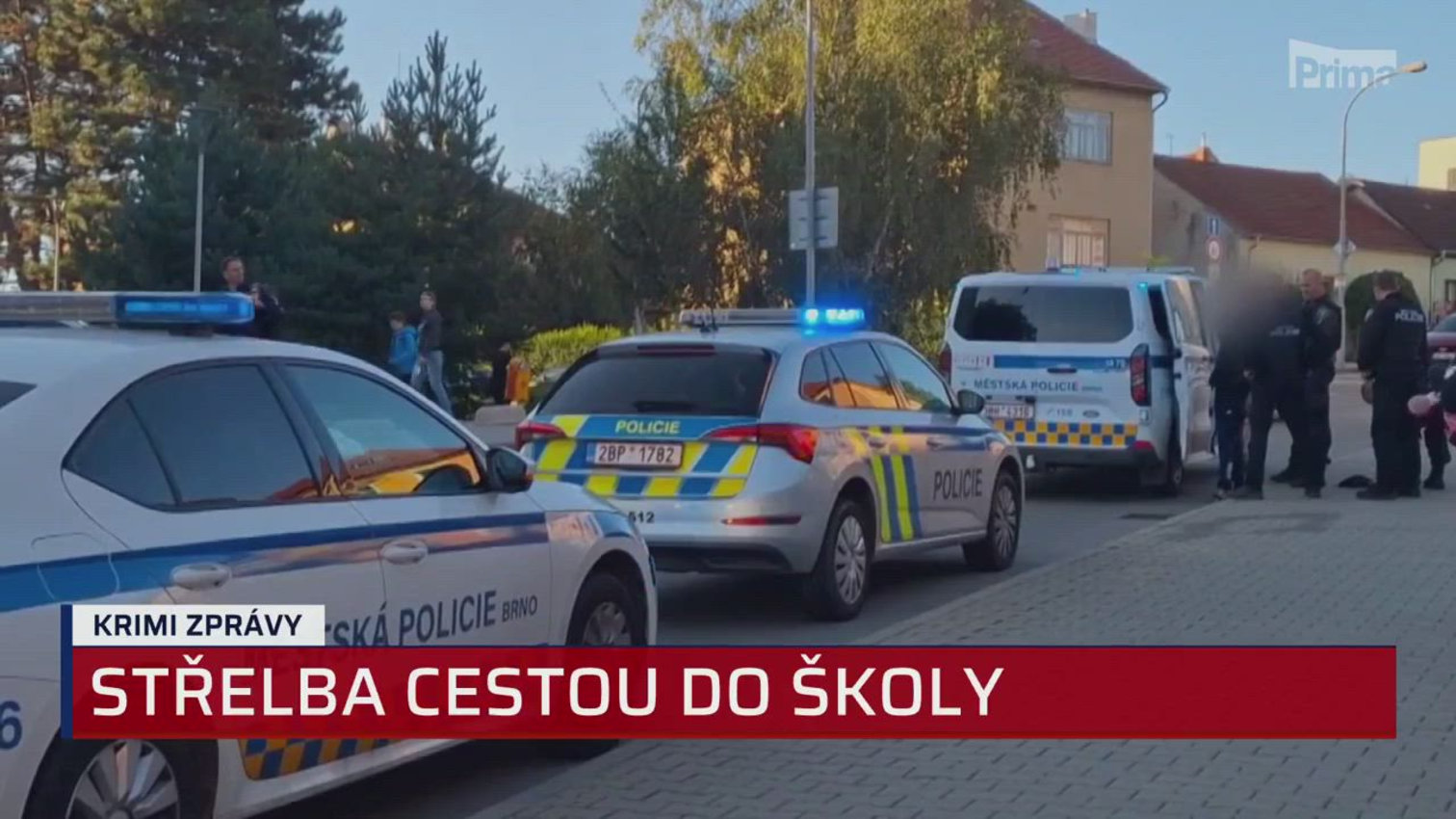 Náhled videa
