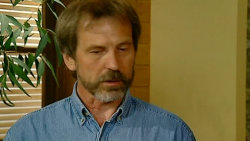 Receptář prima nápadů 2009 (19)