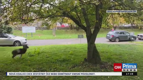 ZPRÁVY Z REGIONŮ - 31.10. v 17:25